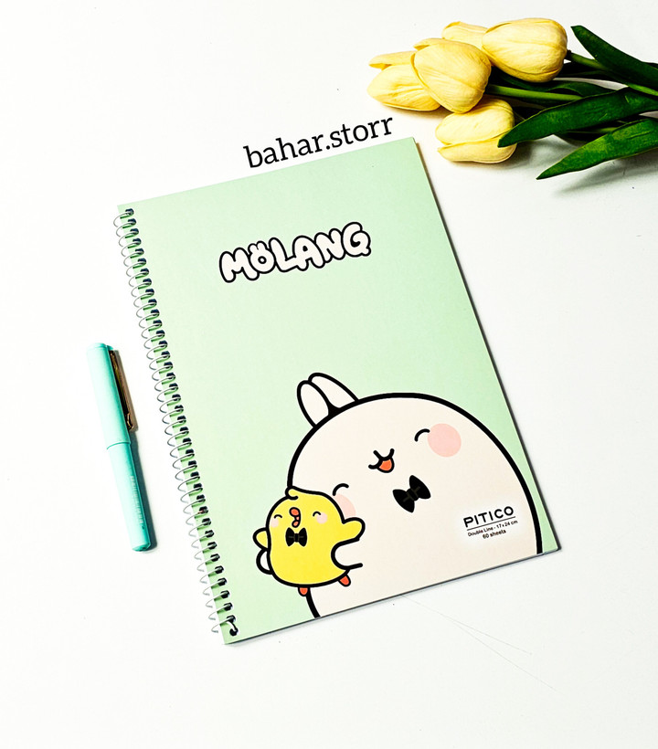 دفتر زبان جلد مقوایی پیتیکو ۶۰ برگ مولانگ سبز