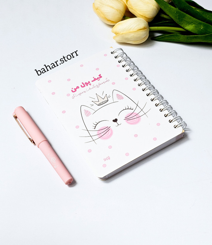 پلنرمالی برنامه ریزی درامدها و هزینه ها ۹۶ برگ پیشی