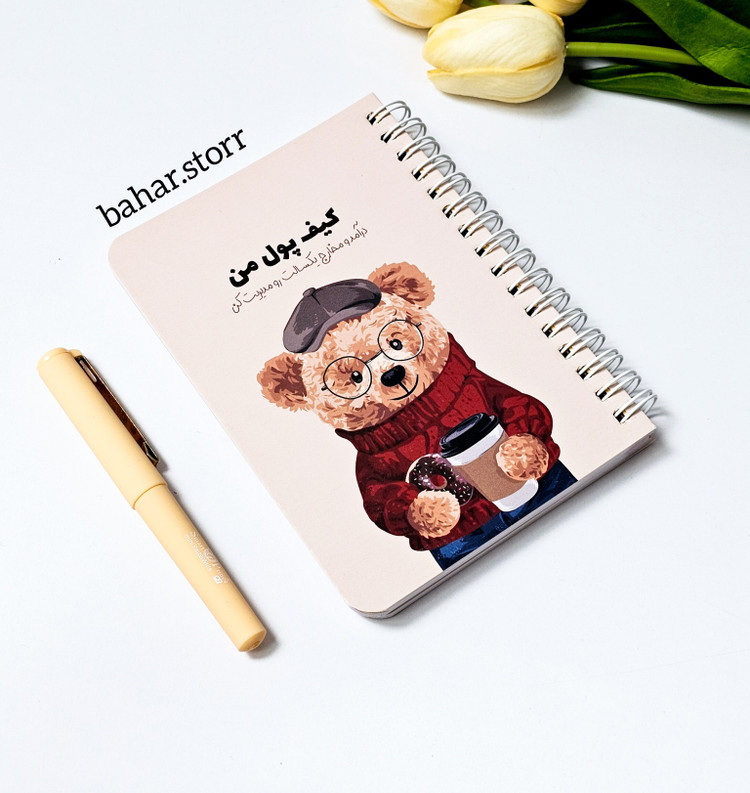 پلنرمالی برنامه ریزی درامدها و هزینه ها ۹۶ برگ خرس