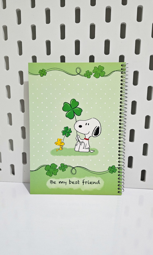 دفترهای حاشیه دار جلد مقوایی ۴۰ برگ هاپو سبز