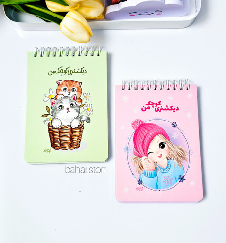 دفترچه لغات جلدمقوایی برند نیکولند ۹۰ برگ